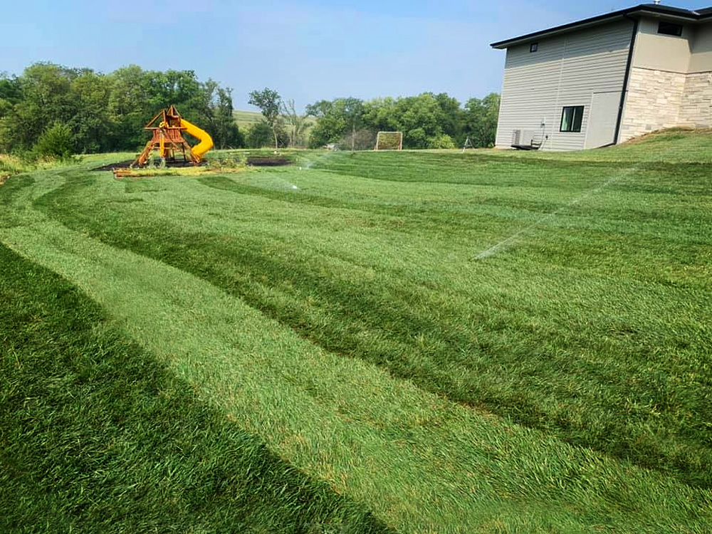 Top Maintenance Tips for a Healthy Sod Lawn in Omaha