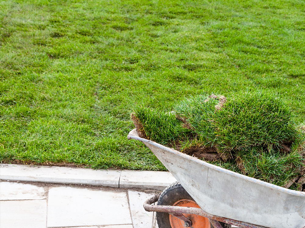 The Benefits of Installing Sod vs. Seeding Your Lawn