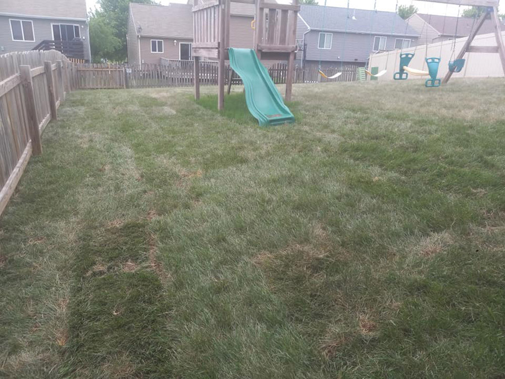 The Ultimate Guide to Caring for Your Newly Installed Sod in Omaha, Nebraska