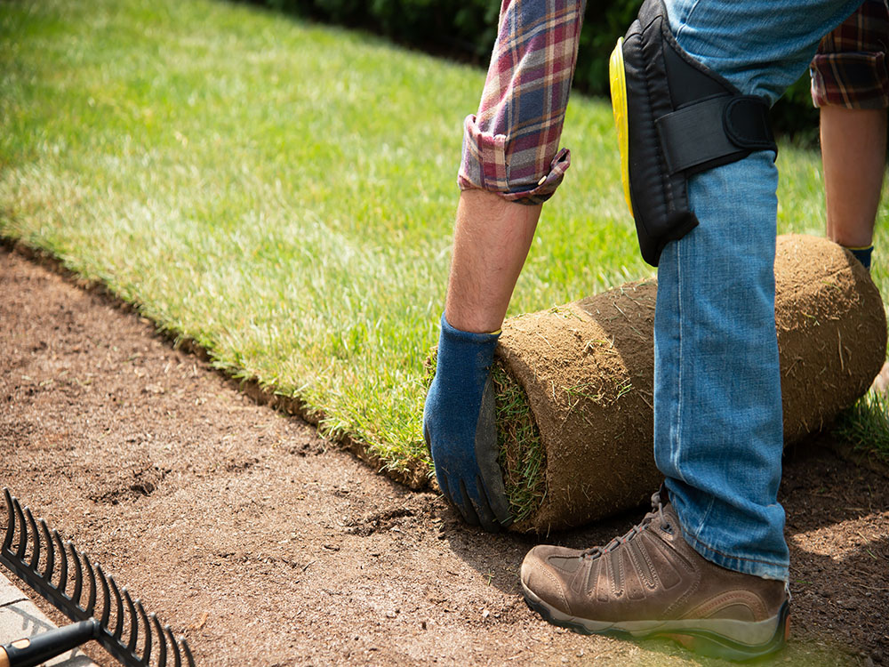 Transform Your Property with Simply Sod: Premium-Quality Sod Installation and Lawn Renovations in Omaha, Nebraska