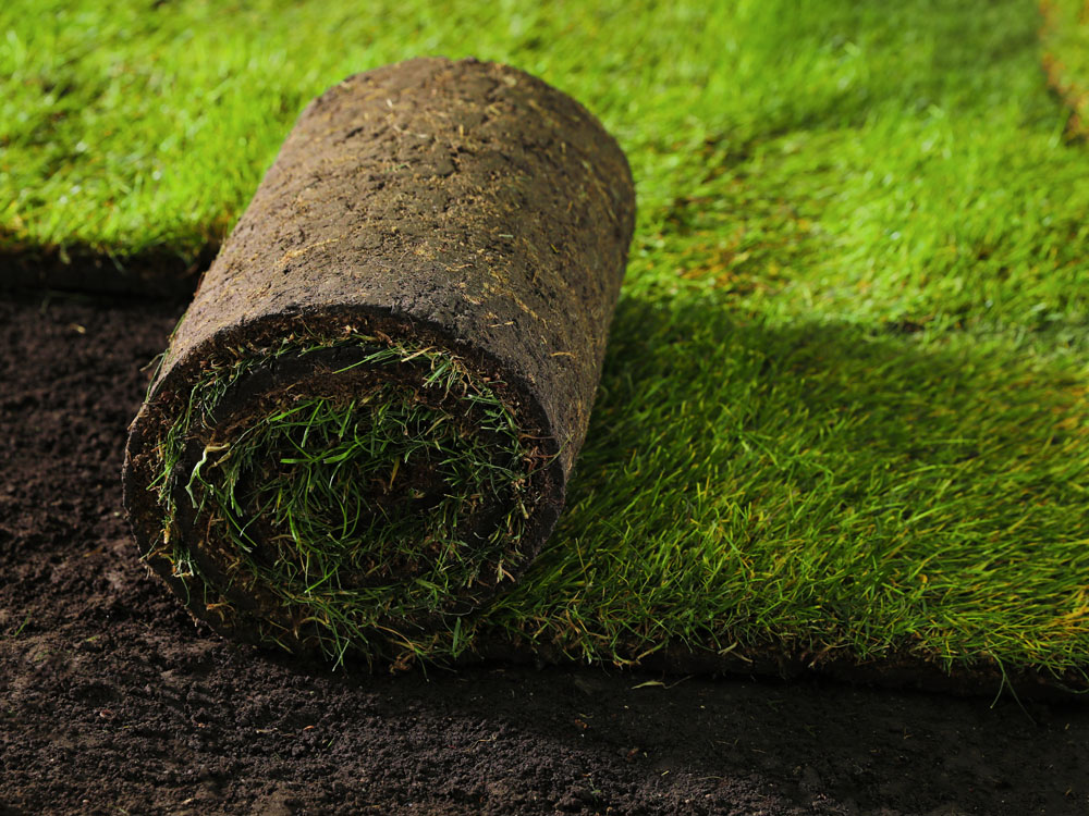 Transform Your Lawn into a Lush Green Oasis with Simply Sod Omaha