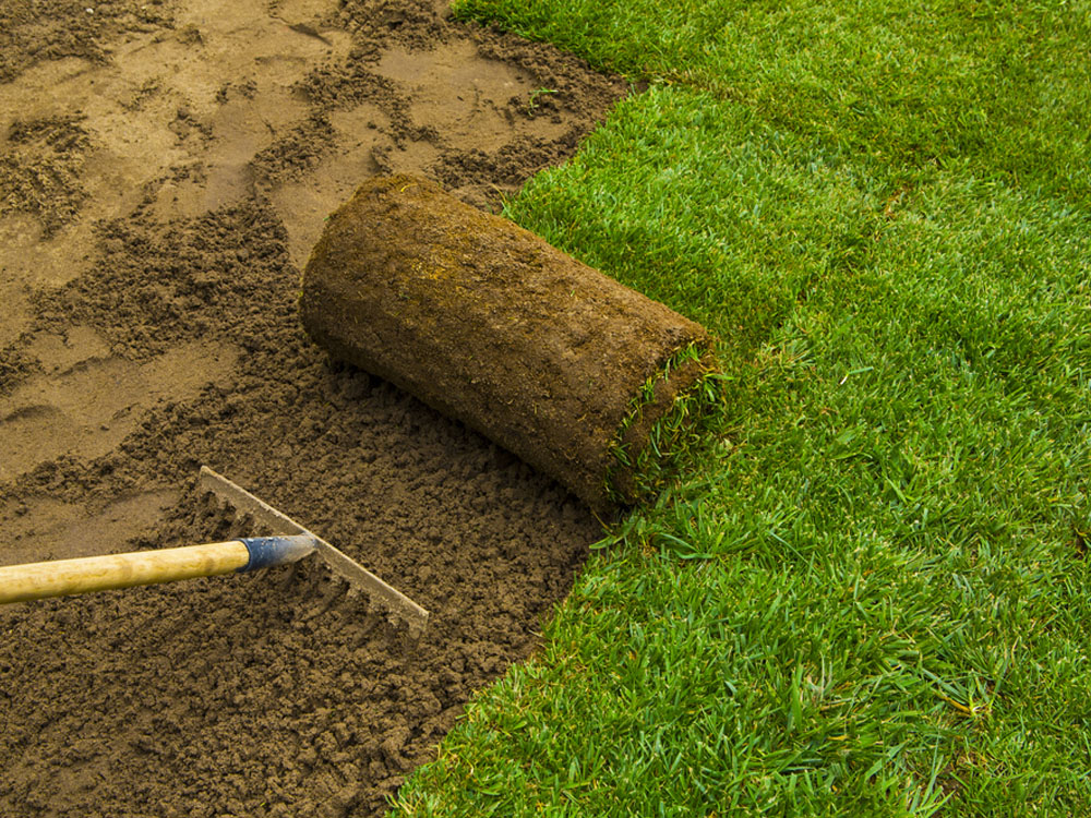 Elevate Your Lawn Game with Simply Sod Omaha: A Comprehensive Guide to Sod Services